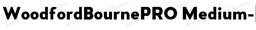 WoodfordBournePRO Medium字体转换
